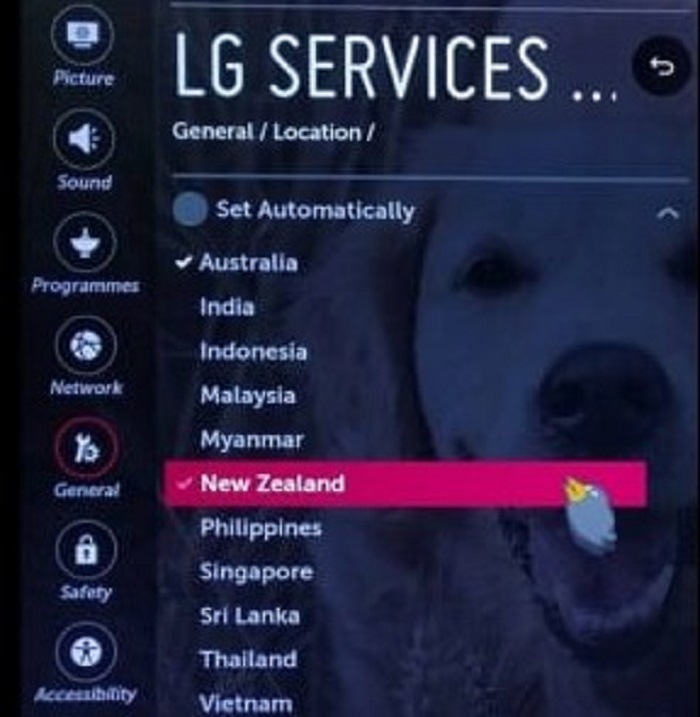 lg services