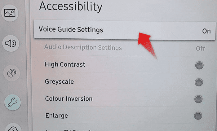 voice guide settings