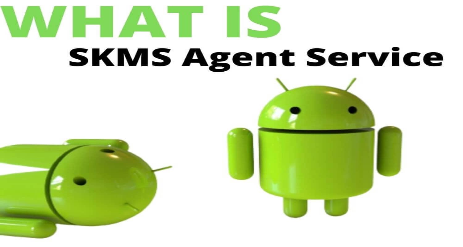 skms agent service